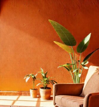 Un interior cálido y acogedor brilla