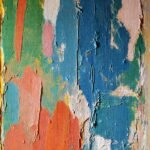 Paredes pintadas vibrantes crean interiores hermosos