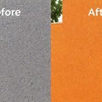 La pared muestra transformaciones de texturas y colores