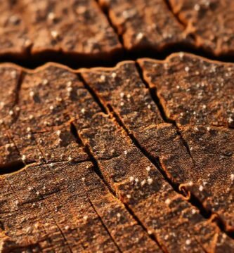Madera texturizada brilla con luz cálida