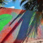 Pared tropical