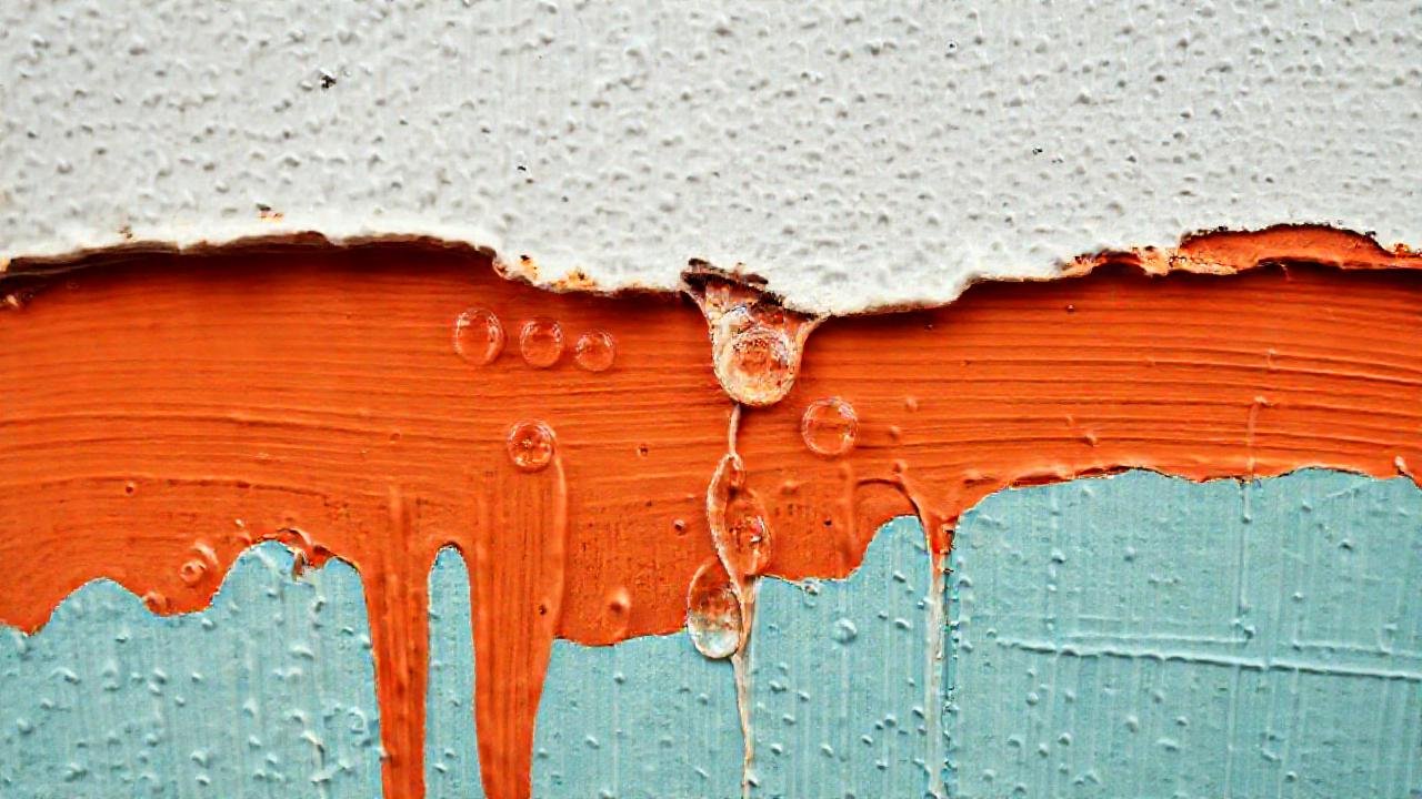 Mural húmedo y revitalizado con color