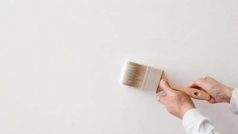 Tutorial ilustra pintura de muro impecable
