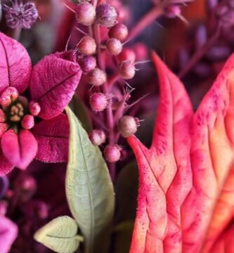 Tintes naturales crean un ambiente sereno