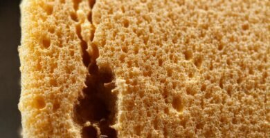 Esponja envejecida muestra decadencia y textura