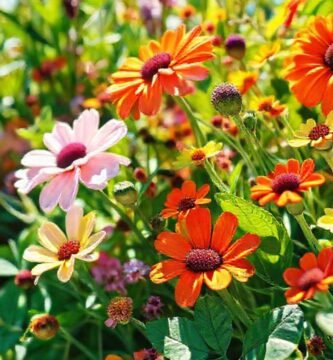 Pinturas ecológicas crean belleza serena