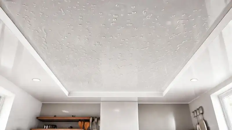 Cocina moderna: textura brillante y limpia