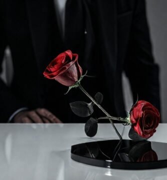Un ambiente elegante y monocromático minimalista