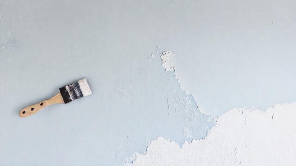 Prepara y pinta una pared duradera