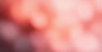 Una atmósfera suave y armoniosa visualmente